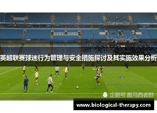 英超联赛球迷行为管理与安全措施探讨及其实施效果分析