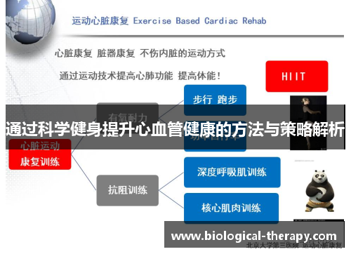 通过科学健身提升心血管健康的方法与策略解析