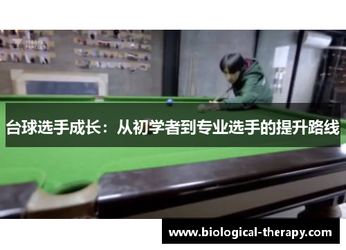 台球选手成长：从初学者到专业选手的提升路线