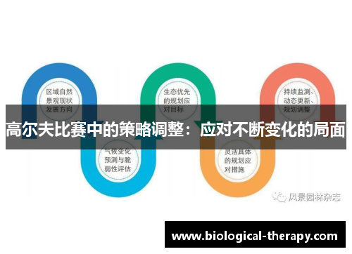 高尔夫比赛中的策略调整：应对不断变化的局面