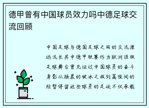 德甲曾有中国球员效力吗中德足球交流回顾